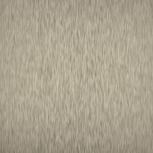 PP 6043 - Bronze (TX)