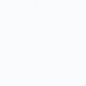 PP 100 - Ultra Branco (TX)