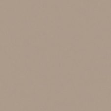 PP 3727 - Atacama (TX)