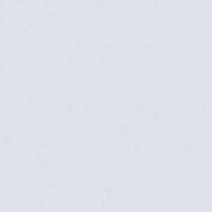 PP 45 - Cinza Polar (TX)