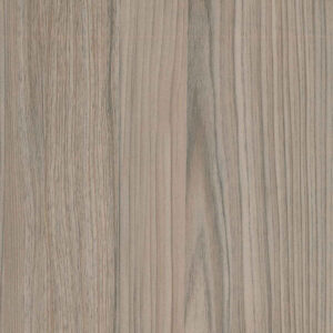 PP 7968 - Thuja (LG)