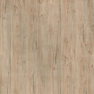 PP 7985 - Zaragoza Maple (UP)