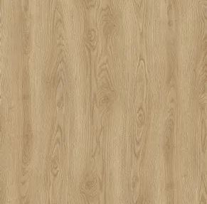 PP 7989 - Century Oak (UP)